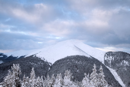 Fantastic winter landscapeの写真素材