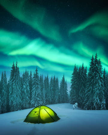 Yellow tent against the backdrop of incredible starry skyの写真素材