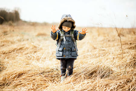 Small kid in yellow dry grass field