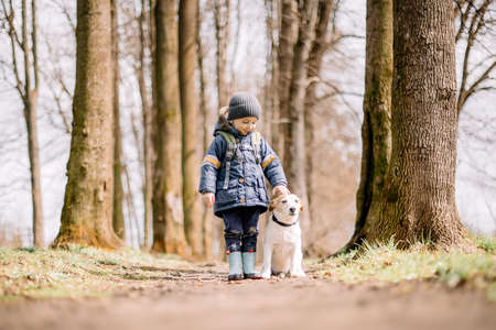 Small kid in blue jacket with white dogの写真素材