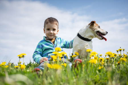 Little boy with Jack Russel Terrier puppyの写真素材