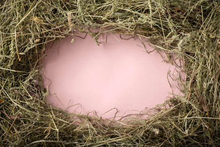 Frame from dry straw hay on pink tableの写真素材