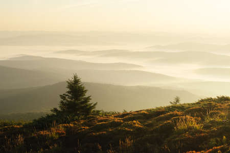 Morning fog in spring mountainsの写真素材