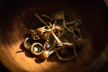 Dried hallucinogenic magic mushroomsの写真素材
