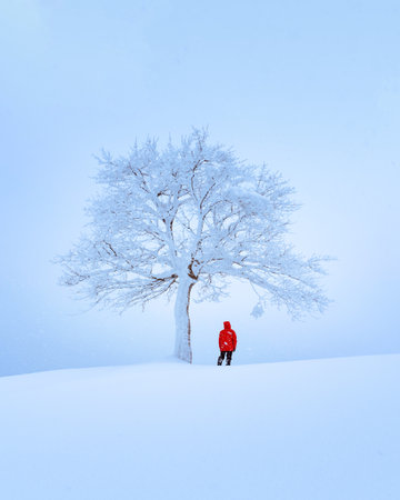 Amazing landscape with a lonely snowy treeの写真素材