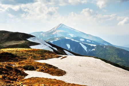 Beautiful Carpathian mountains in summer time