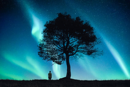 Lonely human under old tree at night field