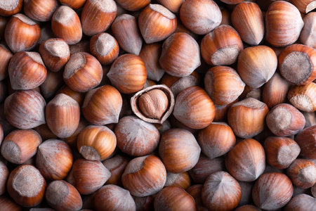 Hazelnut nuts heap with one broken nutの写真素材