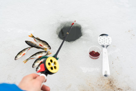 Winter fishing concept with fishing rodの写真素材