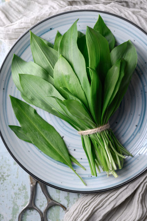 Top view on bunch of fresh bears wild garlic leaves on plate