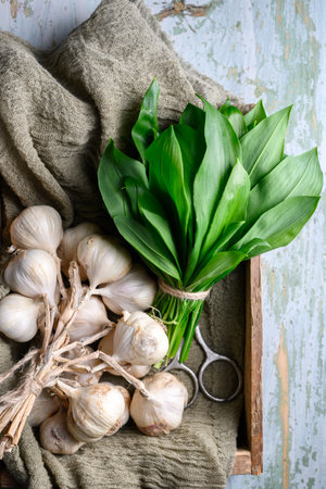 Bunch of fresh wild garlic leaves in wooden box