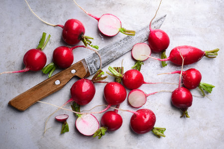 Fresh organic radish from own gardenの写真素材