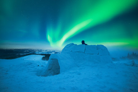 Aurora borealis. Northern lights in winter field. Wintry scene with glowing polar lights and snowy...