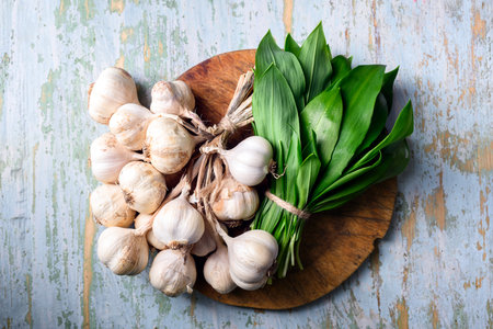 Garlic heads and fresh bears wild garlic leavesの写真素材
