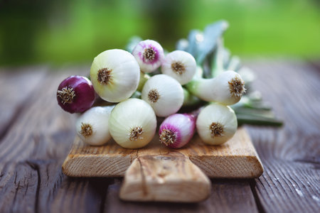 Bunch of young onions with greens on a wooden cutting boardの写真素材
