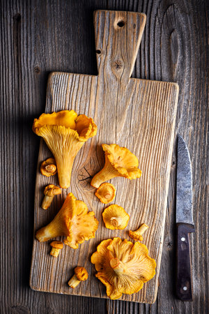 Chanterelle mushrooms on a wooden cutting boardの写真素材