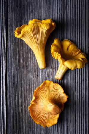 Three fresh chanterelle mushrooms on a rustic wooden tableの写真素材