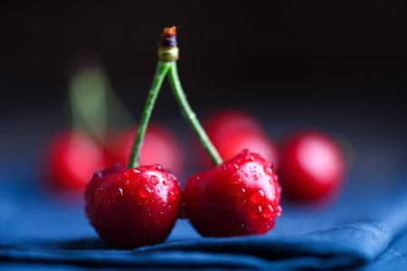 Macro shot of two cherries on blue napkin on dark backgroundの写真素材