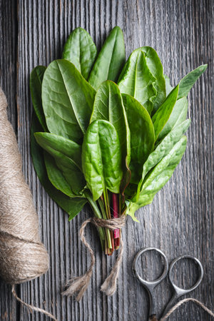 Bunch of fresh organic sorrel leaves on rustic wooden tableの写真素材