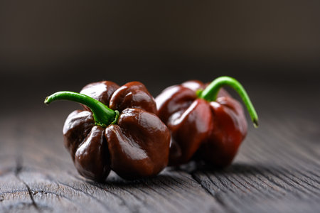 Two ripened chocolate habanero peppers