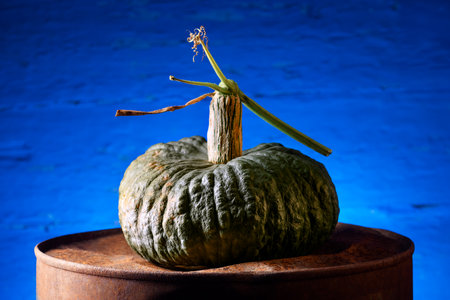 Green pumpkin on an old rusty barrel on blue wall backgroundの写真素材