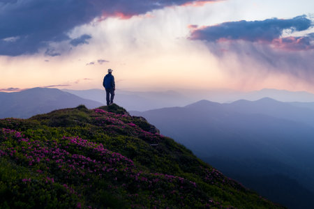 Adventurer enjoying a panoramic view from a rhododendron-filled peak