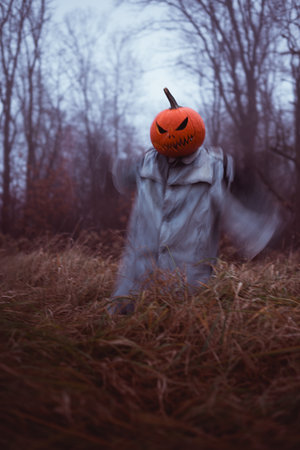 Scarecrow with spooky pumpkin head and old cloak waving his handsの写真素材