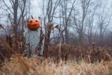 Pumpkin-headed scarecrow in grey cloak stands aloneの写真素材