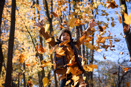 Happy little boy play in beautiful autumn parkの写真素材