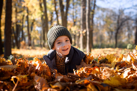 Happy child lays in golden leaves in bright autumn parkの写真素材