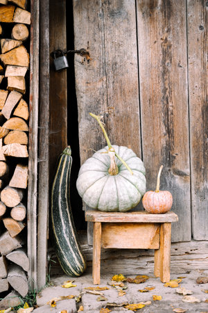 Autumn pumpkins on old wooden stool near rustic barn doorの写真素材