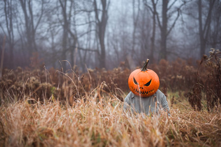 Spooky scarecrow with jack-o-lantern head hides in tall dry grassの写真素材
