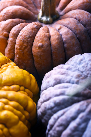 Detailed view of Black Futsu pumpkin skin in mixed tones and rough textureの写真素材