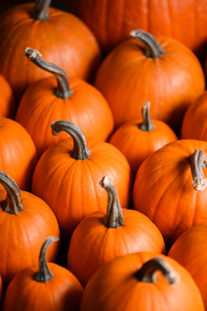 Close up of multiple orange pumpkinsの写真素材