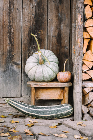 Assorted pumpkins near a wooden barn door on a village courtyard