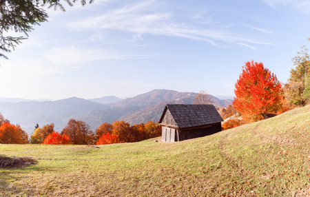 Autumn valley with grassy field and rustic cabinの写真素材