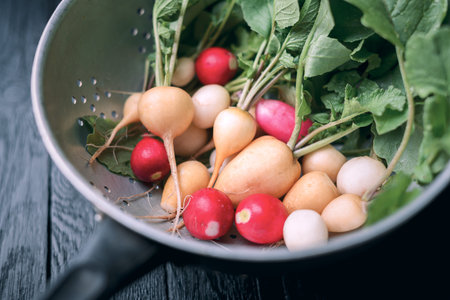 Colorful radishes and greens in kitchen colander