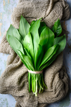 Fresh wild garlic leaves arranged on rustic fabric background