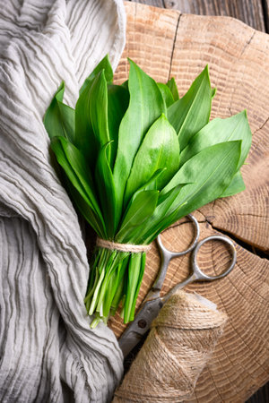 Wild garlic bundle arranged on cutting board with scissors