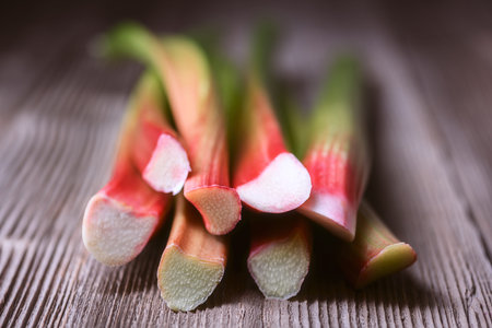 Minimal composition of fresh rhubarb stalksの写真素材