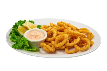 isolated calamari rings with chipotle mayoの写真素材