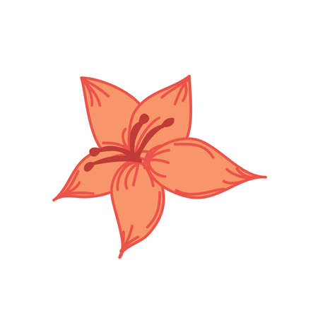 Orange Tropical Flower Hand Drawn Vector Illustration Designのイラスト素材