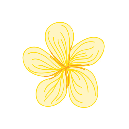 Simple Yellow Tropical Flower Hand Drawn Vector Illustration Designのイラスト素材