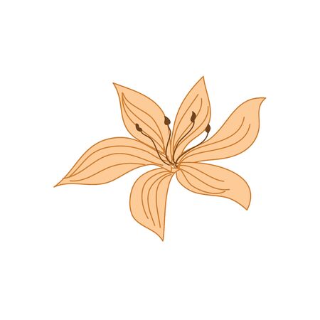 Beautiful Tropical Flower Hand Drawn Vector Illustration Designのイラスト素材