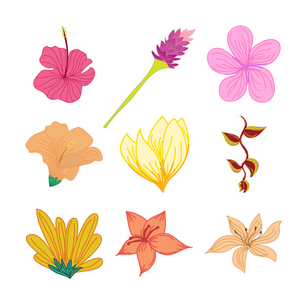 Various Tropical Flowers Hand Drawn Vector Illustration Design Setのイラスト素材
