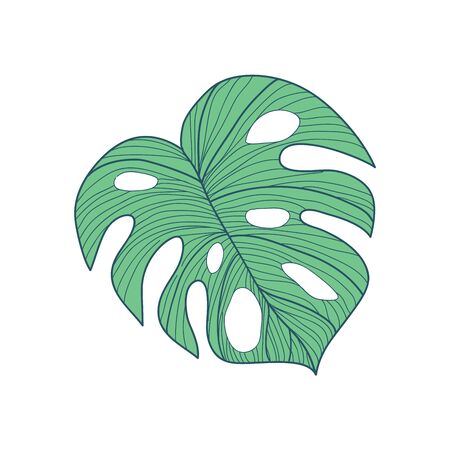 Big Cordate Tropical Leaf Hand Drawn Vector Illustration Designのイラスト素材