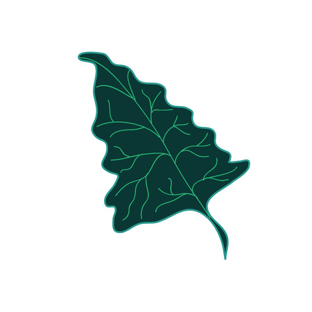 Deltoid Tropical Leaf Hand Drawn Vector Illustration Designのイラスト素材