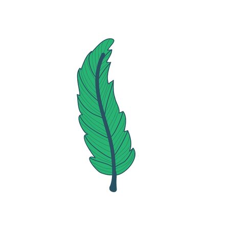 Lanceolate Type Tropical Leaf Hand Drawn Vector Illustration Designのイラスト素材