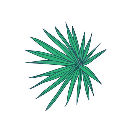 Digitate Type Tropical Leaf Hand Drawn Vector Illustration Designのイラスト素材