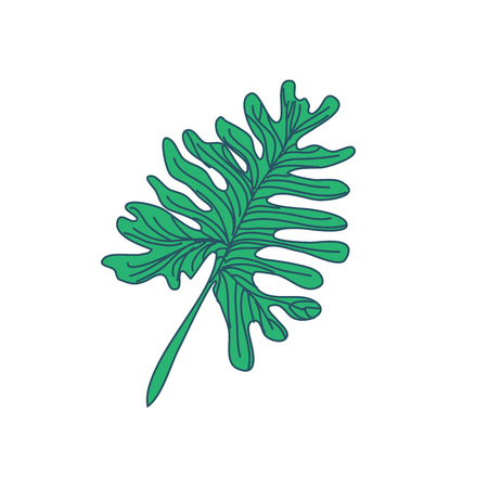 Random Lobed Tropical Leaf Hand Drawn Vector Illustration Designのイラスト素材